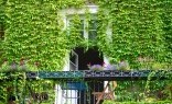 Landscaping Solutions Green Walls